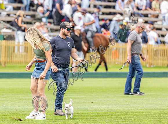 Polo action, 2024 Gold Cup, Cowdray Park Polo Club