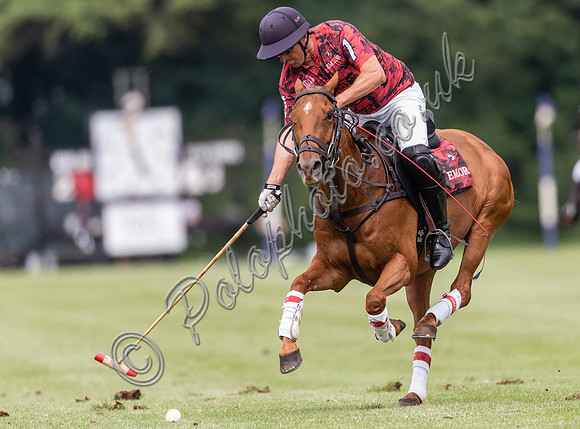 Polo action, Warwickshire Cup Final, Cirencester Park