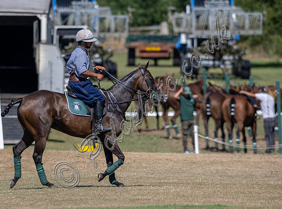 Polo action, 2025 Gold Cup quarter finals, Cowdray Park Polo Club