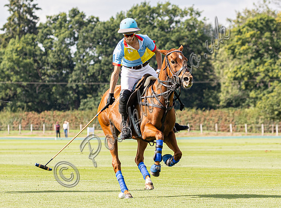 polo action, 2022 Autumn Cup, Cowdray Park Polo Club