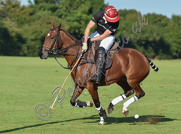 polo action between Coxwell and Supanova