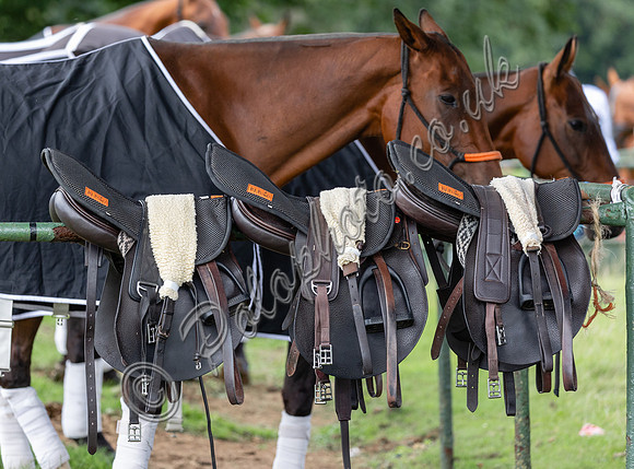 Pony Lines at Cirencester Park Polo Club