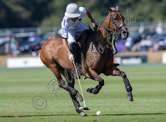 Polo action, 2025 Gold Cup quarter finals, Cowdray Park Polo Club