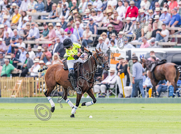 Polo Action 2024 Gold Cup, Cowdray Park Polo Club