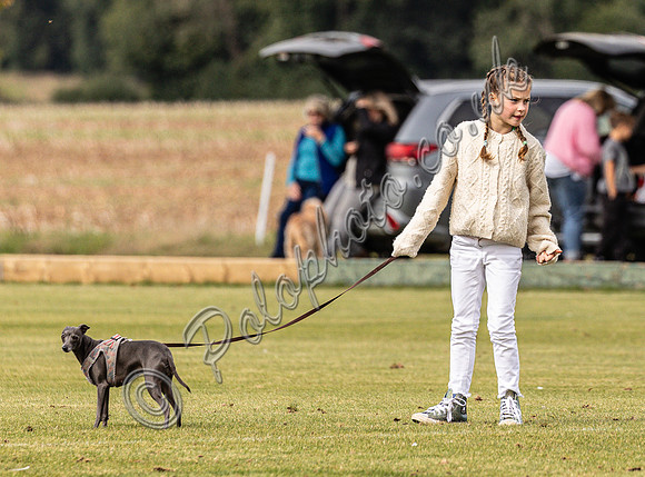 Polo action Associates Jnr & Senior League (4 goal), Cirencester Park, 2024