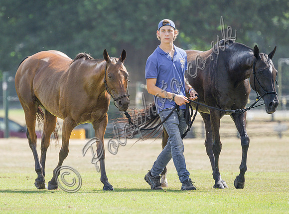 olo action, 2025 Gold Cup, Cowdray Park Polo Club