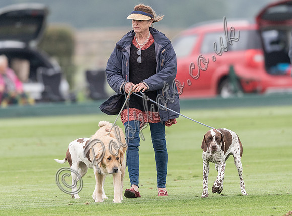 Polo action, 2021 Gold Cup, Cowdray Park Polo Club