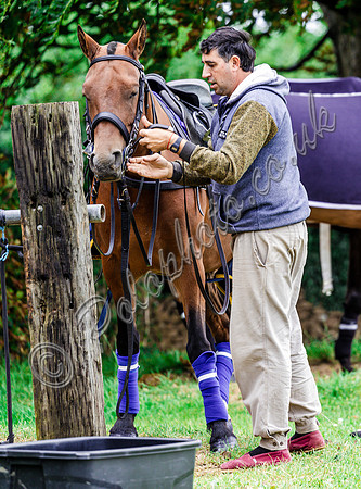 Polo action and Presentation, The Wichenford Bowl, Beaufort Polo Club