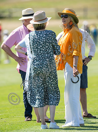 Polo action, 2025, Cowdray Park Polo Club quarter finals