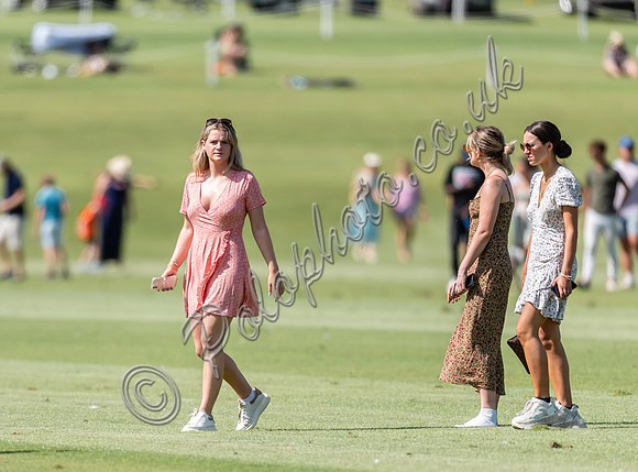 Treading in the divots at polo