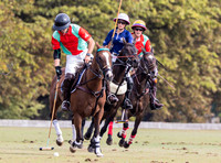Polo action and presentation, Wichenford Bowl 2025, Beaufort Polo Club