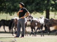Polo action, 2025 Gold Cup, Cowdray Park Polo Club