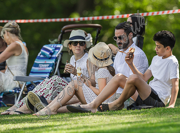 Polo action, 2025 Gold Cup quarter finals, Cowdray Park Polo Club