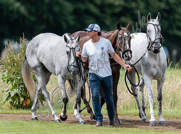 polo grooms and ponies