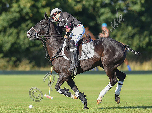 polo action between Coxwell and Supanova