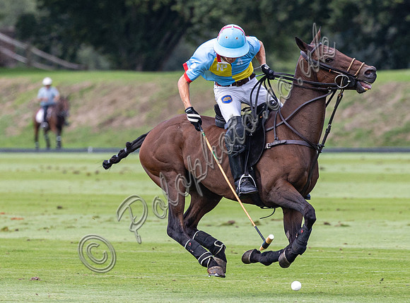 Polo action, 2022 Autumn Cup, Cowdray Park Polo Club