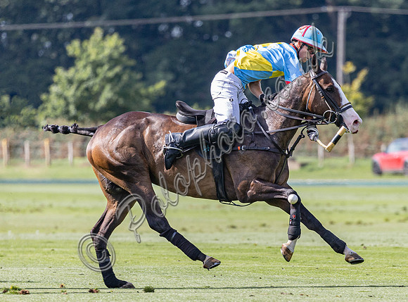 polo action, 2022 Autumn Cup, Cowdray Park Polo Club