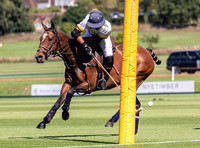 Polo action, 2022, Autumn Cup, Cowdray Park Polo Club
