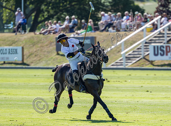 Cooch Behar Trophy,  2025 Gold Cup, Cowdray Park Polo Club