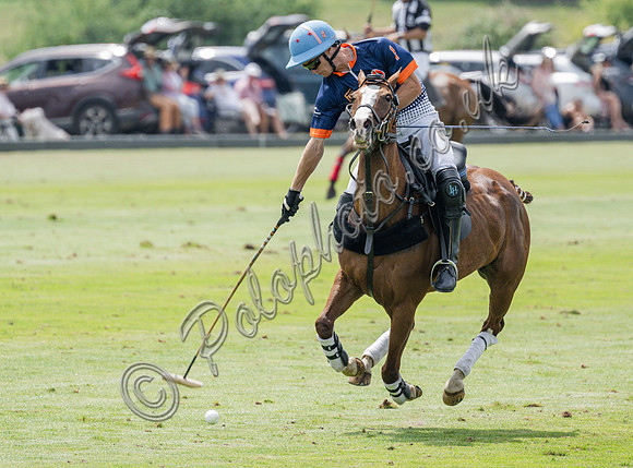 olo action, 2025 Gold Cup, Cowdray Park Polo Club