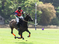 Polo action and Presentation, Chairmans Cup 2025, Cirencester Park