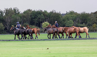 Polo action, and Presentation, 2025 Vale Bowl, Cirencester Park