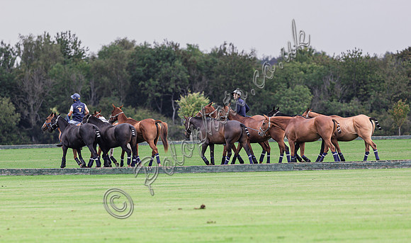 Polo action, and Presentation, 2025 Vale Bowl, Cirencester Park