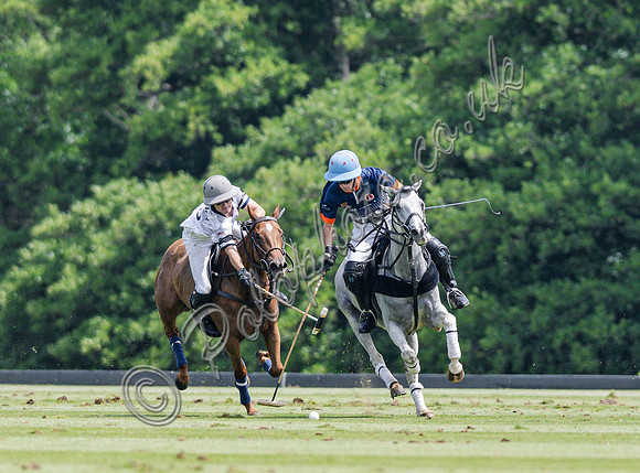 olo action, 2025 Gold Cup, Cowdray Park Polo Club
