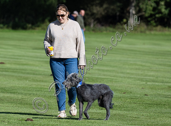 Polo action and presentation, End of Season 4 Goal, Cirencester Park