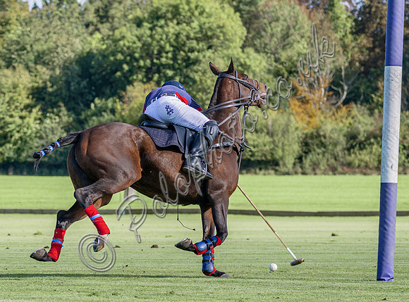 Polo action and presentation, End of Season 4 Goal, Cirencester Park