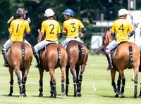 Corium polo team