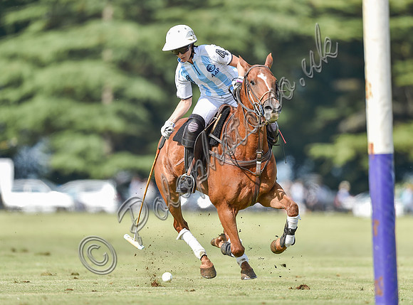 polo action at Ladies International at Cirencester Park, England v Argentina 2019