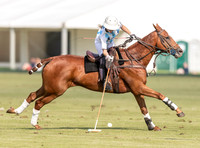 polo action at Ladies International at Cirencester Park, England v Argentina 2019