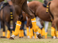Cowdray Park Gold Cup, Ashton Silver Cup - Cowdray Park Polo Club, 5th July, 2025