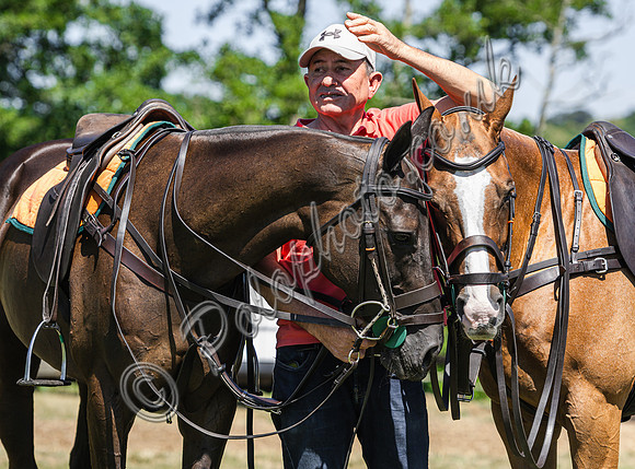 Polo action, 2025 Gold Cup,Manor Farm