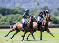 Polo action, 2025 Gold Cup,Manor Farm