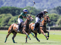 Polo action, 2025 Gold Cup,Manor Farm