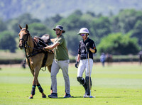 Polo action, 2025 Gold Cup,Manor Farm