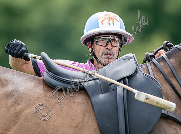 Adolfo Cambiaso, professional polo player (2025)