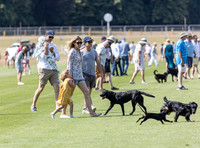 Treading in at polo match