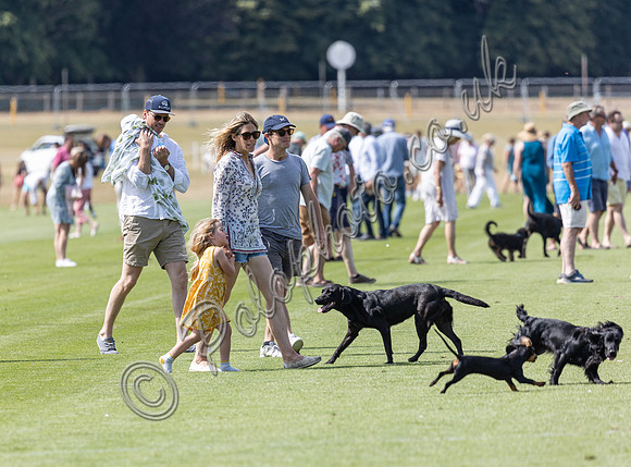 Treading in at polo match
