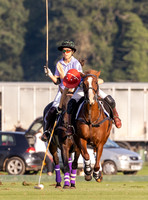 polo action, Associates Trophy, Cirencester Park