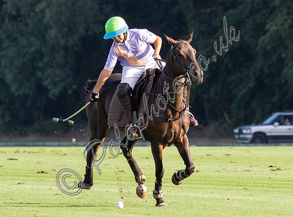 polo action, Associates Trophy, Cirencester Park