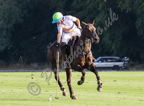 polo action, Associates Trophy, Cirencester Park