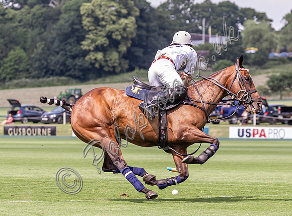 Polo action, 2024 Gold Cup, Cowdray Park Polo Club