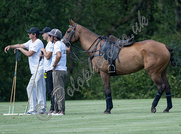 Polo action, 2025 Gold Cup quarter finals, Cowdray Park Polo Club