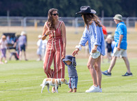 Treading in at polo match