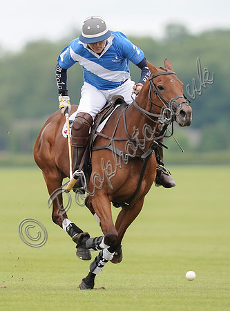 Will Lucas polo action shot, full horse head on, riding towards, Lodge Service colours blue and white.