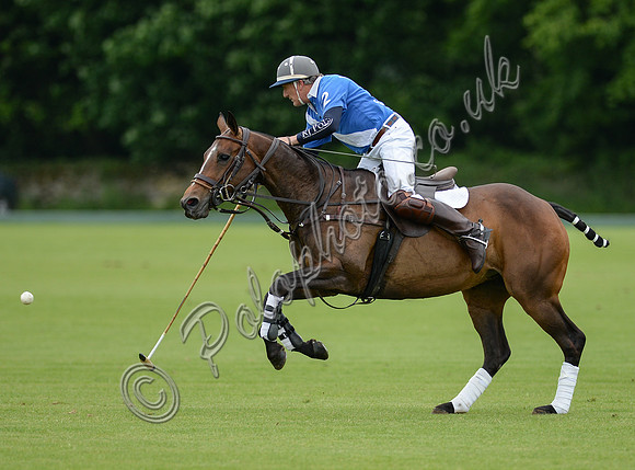 polo action shot Will Lucas riding from right to left wearing blue and white Lodge Sevice polo shirt