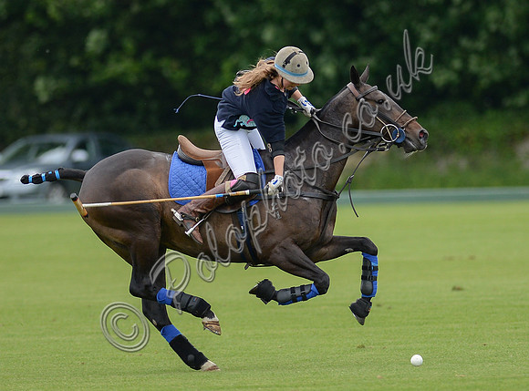 Tabba Woodd fast polo action from left to right alone on polo pony